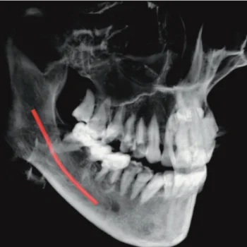 services-03a